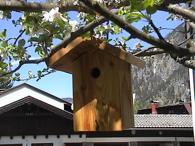 Appartement Haus Waldfriede à Pertisau Extérieur photo