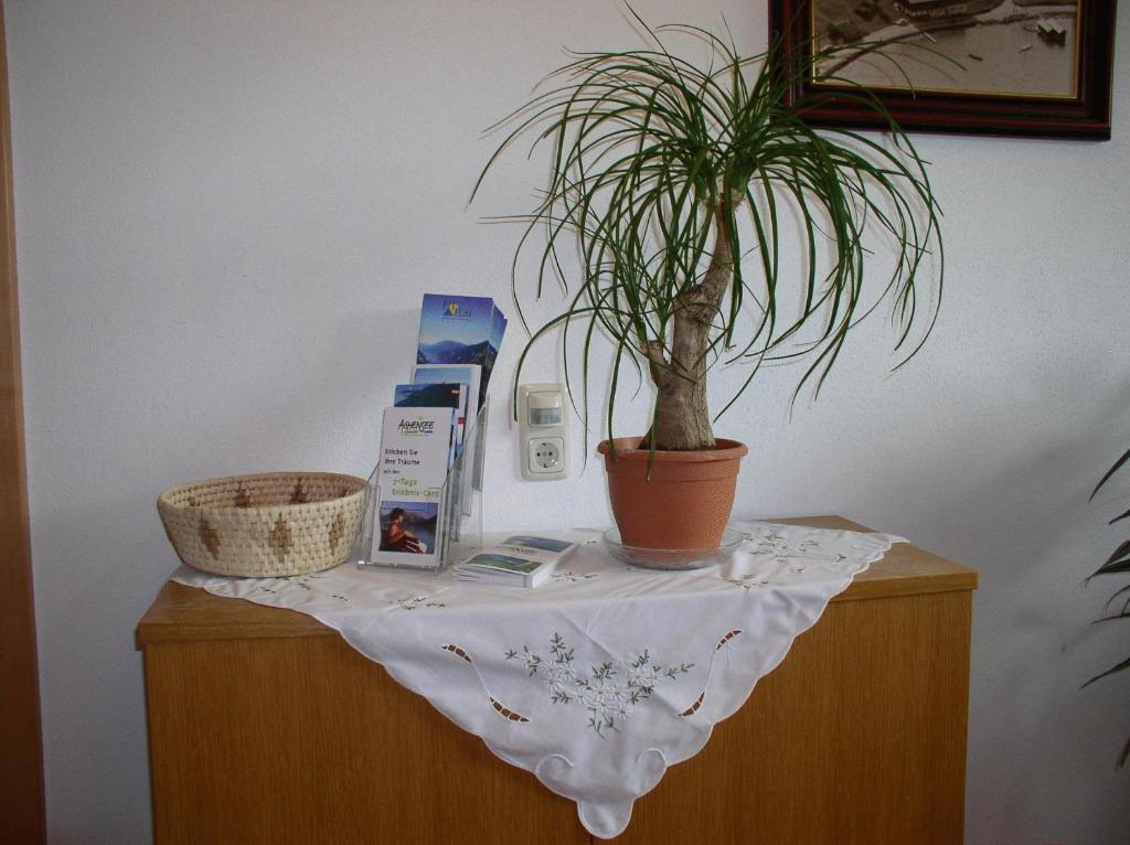 Appartement Haus Waldfriede à Pertisau Extérieur photo